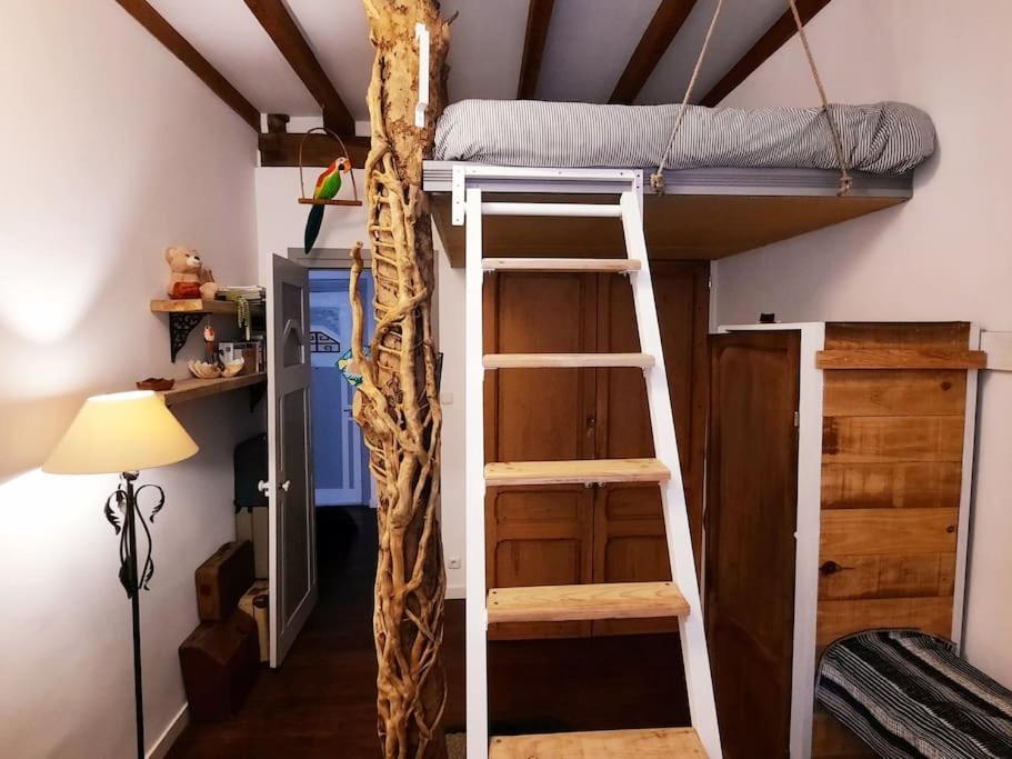 Appartamento La Casa Del Arbol San Sebastián Esterno foto