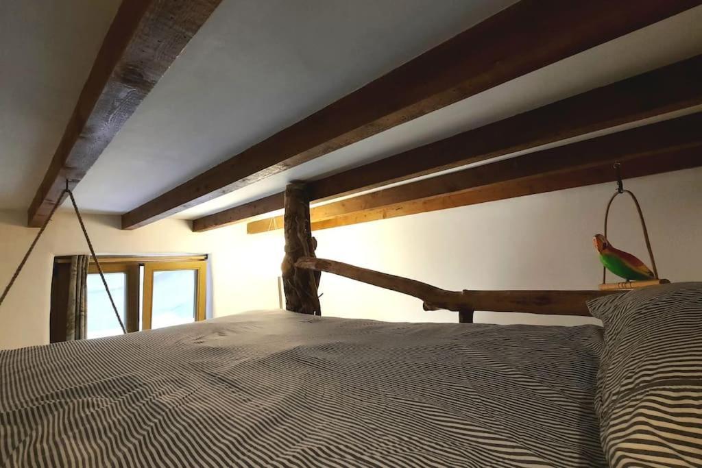 Appartamento La Casa Del Arbol San Sebastián Esterno foto